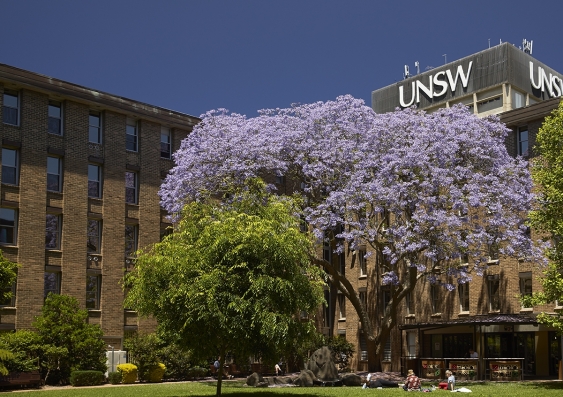 In 2022 UNSW continues its year-on-year rise in THE Impact Rankings. Photo: UNSW Sydney.