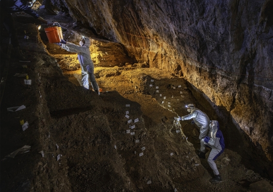 Archaeologists collecting samples for ancient DNA analyses at Chiquihuite Cave. Pictured from left, Dr Juan I. Macías-Quintero, Martín Martínez-Riojas, Prof. Eske Willerslev and Dr Mikkel Winther Pedersen. Picture: Devin A. Gandy.