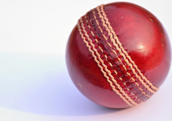 Just not cricket: Politicians make promises but obfuscate how those promises will be paid for. Photo: Shutterstock