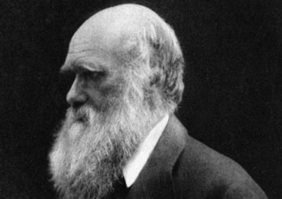 Charles Darwin in 1868. Image: Julia Margaret Cameron, Wikimedia Commons