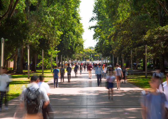 UNSW has received more than $6 million for 14 projects in the ARC Discovery Early Career Research Awards round for 2024. Photo: UNSW Sydney.