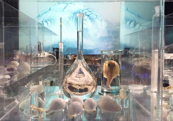 Deep Breathing: Resuscitation for the Reef (2015). Site-specific installation for COP21, Muséum National d’Histoire Naturelle, Paris. Photo: courtesy of Janet Laurence.