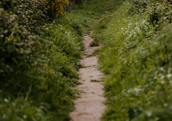 The preferred route is not always the one constructed. Photo: Unsplash.