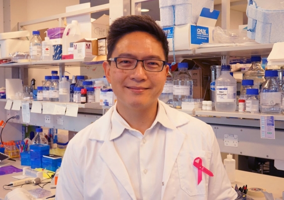 Elgene Lim is Head of the Connie Johnson Breast Cancer Research Lab at the Garvan Institute of Medical Research. Photo: UNSW Sydney.