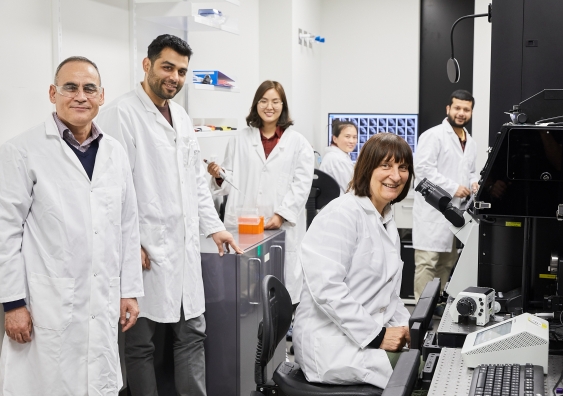 Professor Ewa Goldys and her team use the power of biophotonics: using the colours and shapes of cells and tissues to diagnose and treat disease.