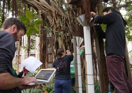 UNSW students and staff gather to analyse results of their botanical research into the campus fig trees.