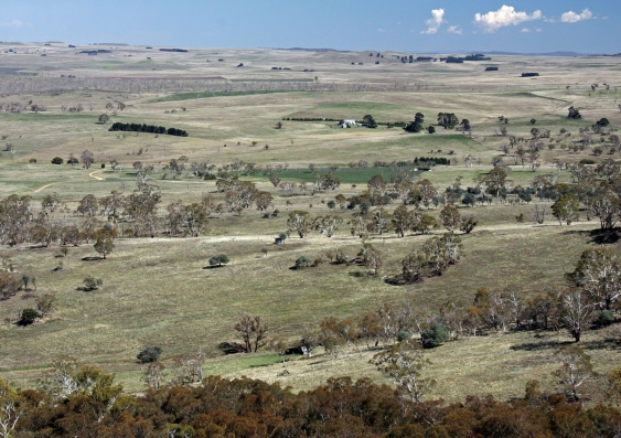 The Southern Tablelands contain rare native grasslands. Image by Tim J Keegan/Flickr, CC BY-SA