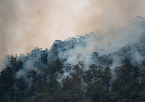 Australia's 2019/20 summer bushfires resulted in more than 400 estimated deaths and thousands of hospitalisations from smoke exposure. Photo: Matt Palmer/Unsplash.