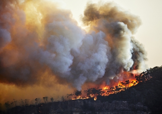 The risk of more severe and frequent bushfires continues to grow from human-driven climate change. Photo: Getty Images.