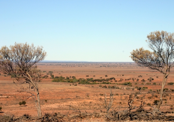 Fowlers Gap Arid Zone Research Station
