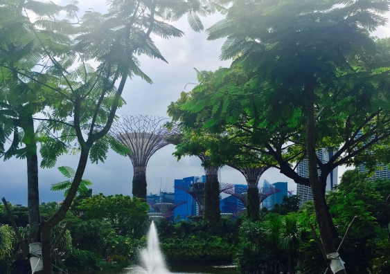 Sustainable design at Singapore Botanic Gardens. Photo: Supplied