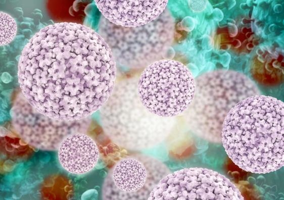 HPV virus (iStock image)