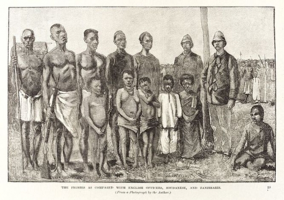 Comparison and differences of size and height between the African Pygmies, Sudanese, English and Zanzibaris. [Etching By: J. D Cooper In Darkest Africa or the quest, rescue and retreat of Emin Govenor or Equatoria. Henry Morton Stanley Published: 1890.] Image: Wellcome Library, London. , CC BY-SA