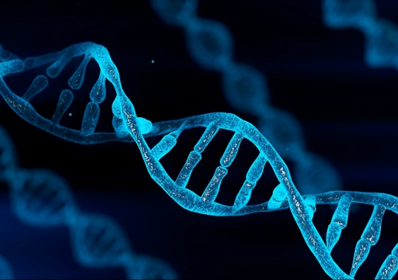 New genes have been identified that contribute to sarcoma risk. Image: iStock.