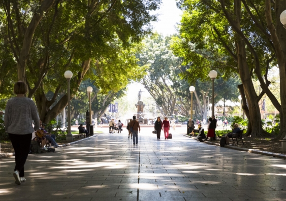 Trees can make public areas more inviting to exercise, socialise and spend time in. Photo: iStock.