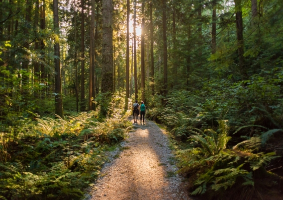 Time in nature has a range of mental and physical health benefits. Photo: iStock.