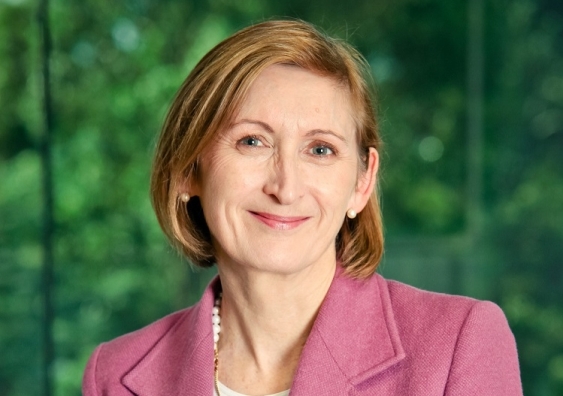 UNSW Centre for Law Markets and Regulation (CLMR) Director, Professor Dimity Kingsford Smith Image: Supplied