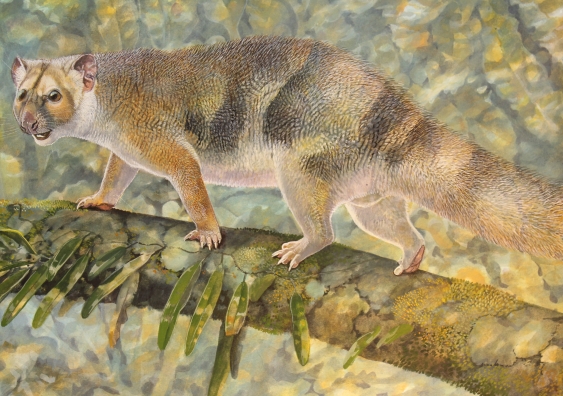 Reconstruction by palaeoartist Peter Schouten of Microleo attenboroughi prowling along the branches of rainforest trees in search of prey. Image: Peter Schouten