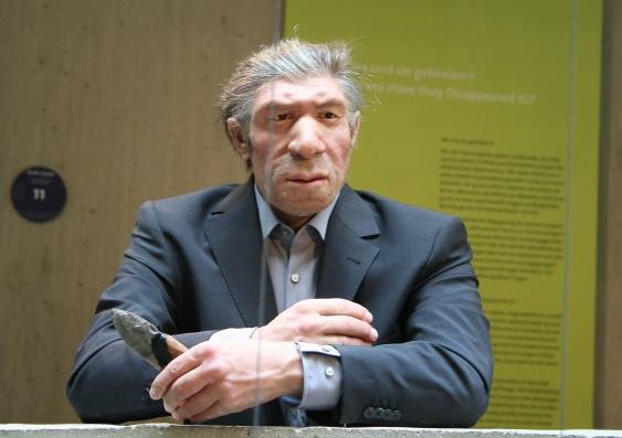 Reconstruction of a Neanderthal man in a modern suit, at the Neanderthal Museum. Einsamer Schütze via Wikimedia Commons, CC BY-SA