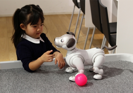 Rise of the companion machines: robotic pets could soon be in our homes and our hearts. Photo: Ned Snowman / Shutterstock.com.