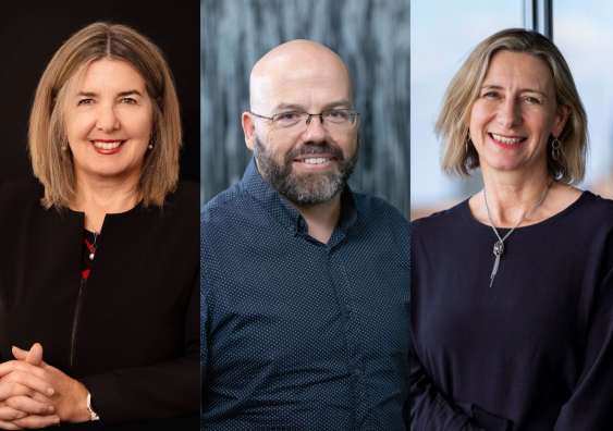 Scientia Professor Rebecca Ivers, Professor Stuart Tangye and Professor Gail Matthews have been recognised for their outstanding contributions to health and medical research in Australia.. Photo: UNSW Sydney.
