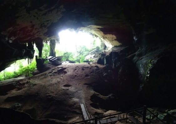 Niah Cave in Sarawak where the 37,000 year old Deep Skull was found in 1958. Image credit: Curnoe.
