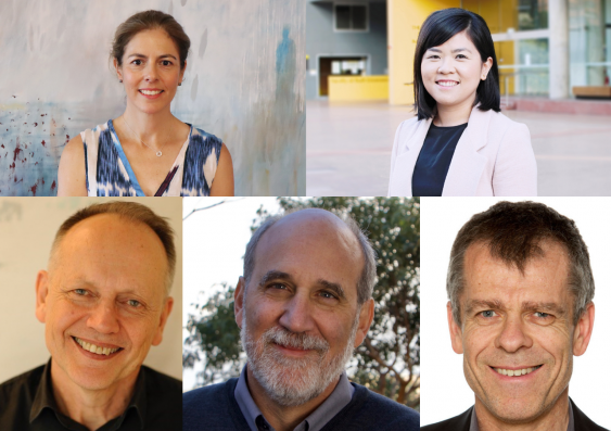 The UNSW winners are Louise Causer, Rona Chandrawati, Gregory Dore, Peter Steinberg and  Richard Bryant. Photo: UNSW