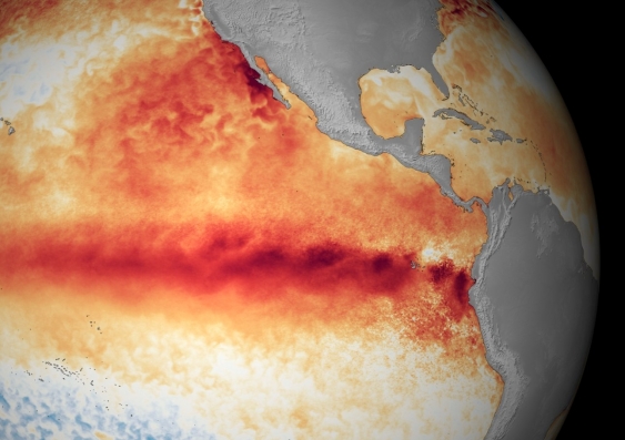 Classic El Niño: the sea surface temperature pattern captured in July. National Oceanic and Atmospheric Administration