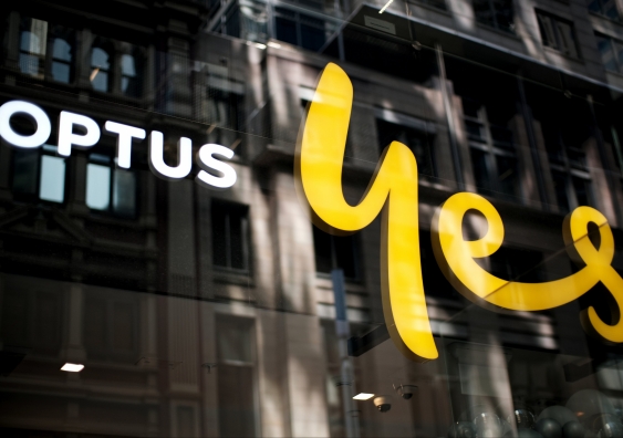 The government says Optus is responsible for basic failures that enabled hackers. Photo: Shutterstock