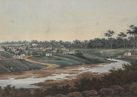 Australian paintings by J.W. Lewin, G.P. Harris, G.W. Evans and others, 1796-1809; Photo: State Library of NSW.