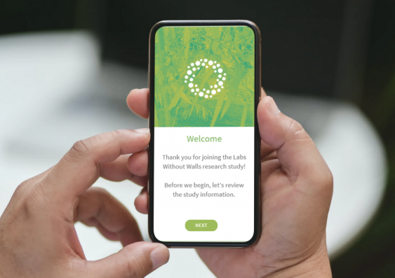 A UNSW project is gathering data from a purpose-built Labs with Walls research app on an iPhone paired with an Apple Watch. Photo: Apple.