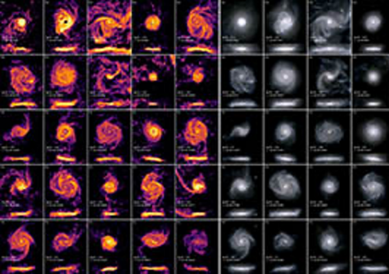 An ensemble of twenty-five disk galaxies. The view on the left shows light emitted in the H-alpha line from interstellar gas as a result of ongoing star-formation, while the panels on the right show the optical light emitted by a mix of young (bluer) and old (redder) stars.  Each galaxy can be seen rotated edge-on below its face-on view. Image: TNG Collaboration