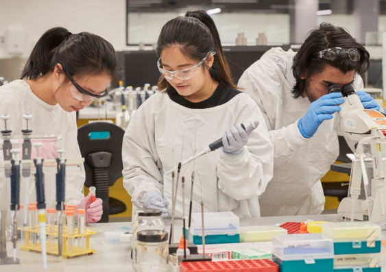 THE SAGE Athena Swan program is a framework for universities to benchmark their work in gender equity, diversity and inclusion against an international standard. Photo: UNSW.