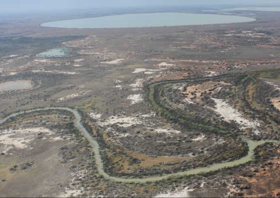The Darling River flows from north to south, with water overflowing into the Menindee Lakes, including Lake Menindee (top right) and Lake Cawndilla (top middle), both forming important wetlands within Kinchega National Park. Photo: Richard Kingsford