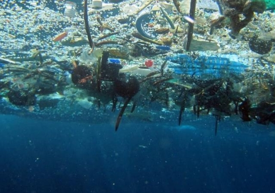 Floating debris in the Pacific Ocean. Credit: NOAA - Marine Debris Program