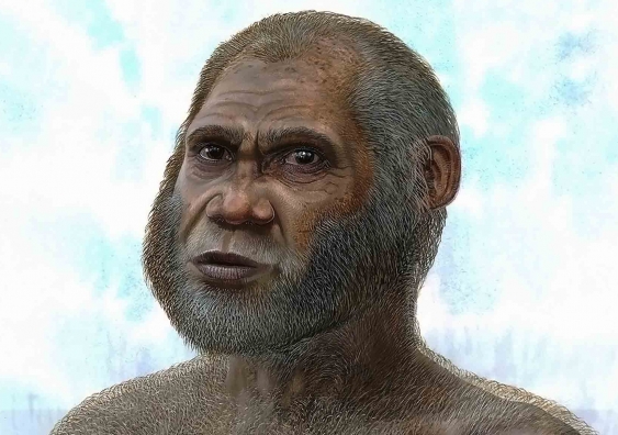 An artist's impression of a Red Deer Cave man.