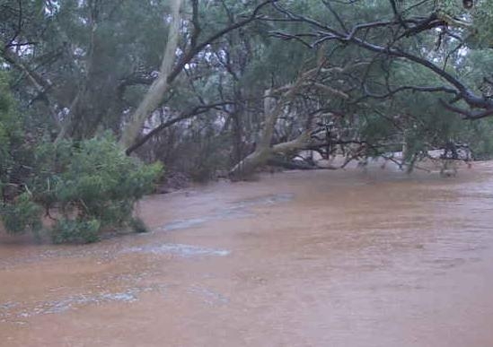 Fowlers Gap Creek in flood at 9am Saturday 10 January