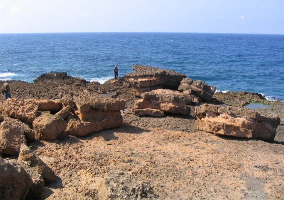 Boulders on the Tipaza coast of Algeria that would have been deposited in a high-energy event. Credit: C. Morhange