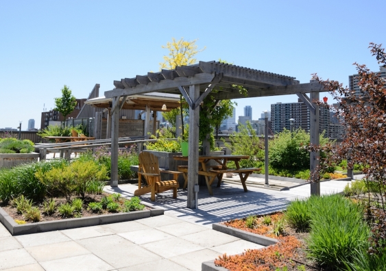 Rooftop gardens create additional green space in urban areas. Photo: Shutterstock.