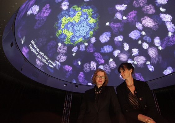 EPIC’s research leaders Professors Sarah Kenderdine (left) and Lindy Rae in DomeLab beneath a visualisation of Rhinovirus with RNA payload magnified 500 million times. Animation showing in DomeLab by Drew Berry. Photo: Andy Baker