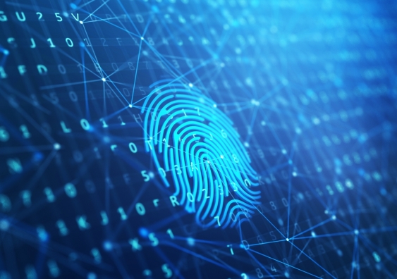 Even though passcode options include swipe patterns and long passwords, many users still use easy 4-digit PINs. This is because people are often lulled into a false sense of security when they use fingerprint login. Image from Shutterstock