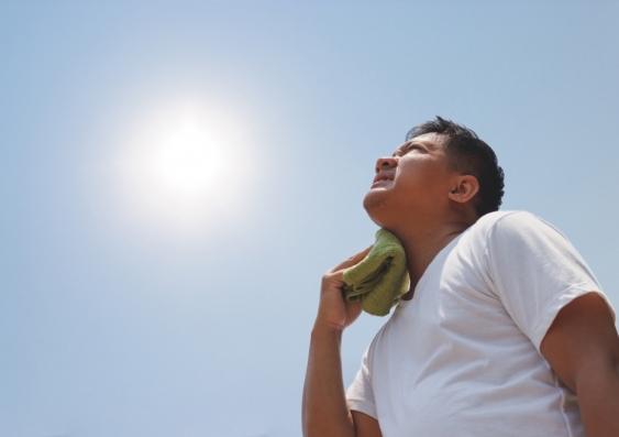 Heatwaves have become longer and more frequent since 1950. Image from Shutterstock