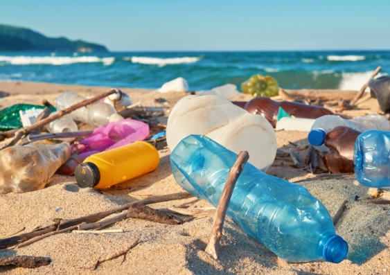 The study was made possible thanks to more than 2000 organisations and 150,000 citizen scientists who sorted and tallied up marine debris they collected as part of the Australian Marine Debris Initiative. Photo: Shutterstock.