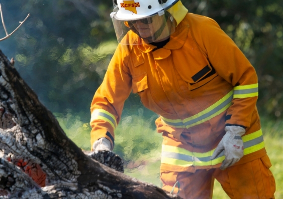 Hazard reduction involves removing vegetation that could otherwise fuel a fire, including burning under controlled conditions. Image from Shutterstock
