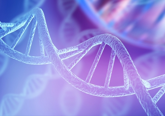 Epigenetics looks at how non-permanent, acquired chemical marks on DNA determine whether or not particular genes are expressed. Image: Shutterstock