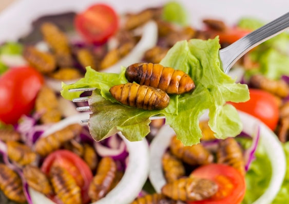 Need a hit of protein? In 30 years' time, it won't be unusual to order a side of worms with your salad as Prof. le Coutre predicts we'll be eating more insects as part of our diet in the future. Photo: Shutterstock