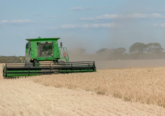 Barley harvest in Western Australia. Image from Shutterstock