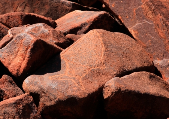 BHP recently said it will not damage 40 Aboriginal heritage sites which it received ministerial permission to destroy without “further extensive consultation” with traditional owners, the Banjima people, after outcry over Rio Tinto's destruction of Juukan Gorge. Fish engraving on the Burrup Peninsula in the Pilbara, Western Australia. Photo: Shutterstock