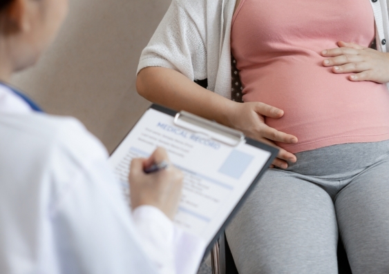 The researchers hope that their new strategy could one day be used to improve pregnancy success rates. Image: Shutterstock.