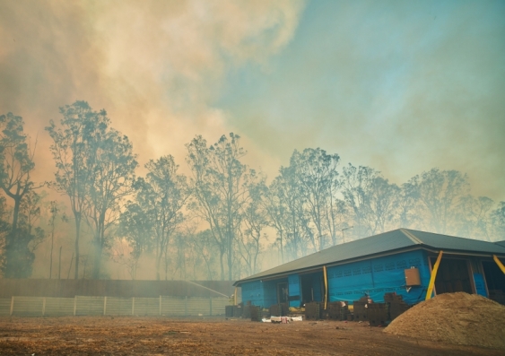 Most Australian dwellings are designed to be 'naturally ventilated', meaning every habitable room has an openable window or a vent. But these can easily allow bushfire smoke to leak inside. Image from Shutterstock